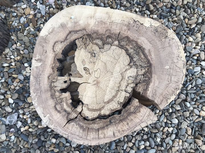 Спилы, слебы торцевые