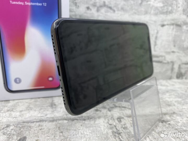 iPhone X, 256 ГБ