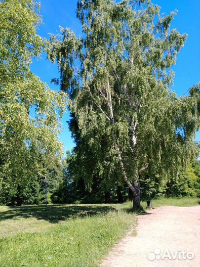 Индивидуальные экскурсии по Плесу