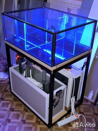 Аквариумы витрины для продажи устриц