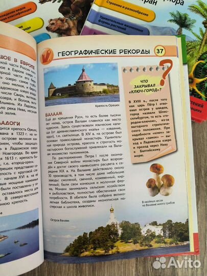 Энциклопедия для детей