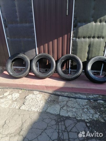 Nokian Tyres Nordman 7 185/65 R15