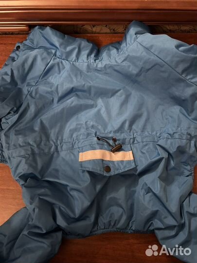 Одежда для собак