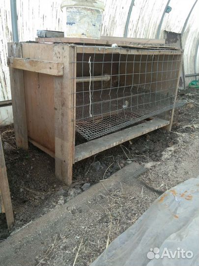 Клетки для перепелов бу