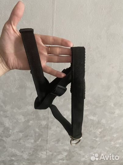 Недоуздок для собак/халти