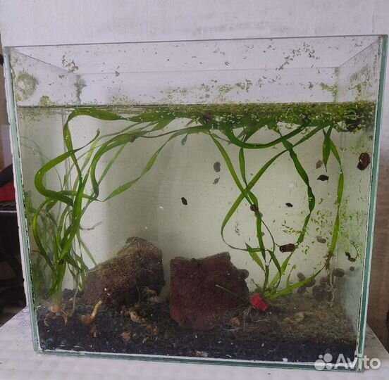 Украшение для аквариума и аква всё что на фото