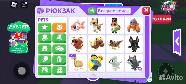 Адопт ми,петы