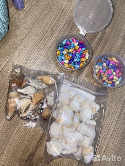 Морские ракушки