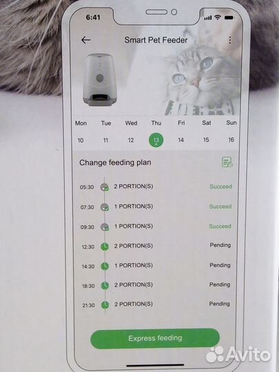 Автокормушка с Wi-Fi управлением