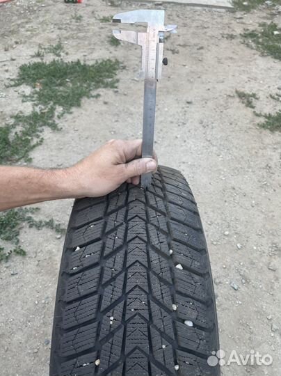 Nexen Winguard Ice Plus 195/55 R16 91T