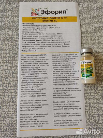 Эфория