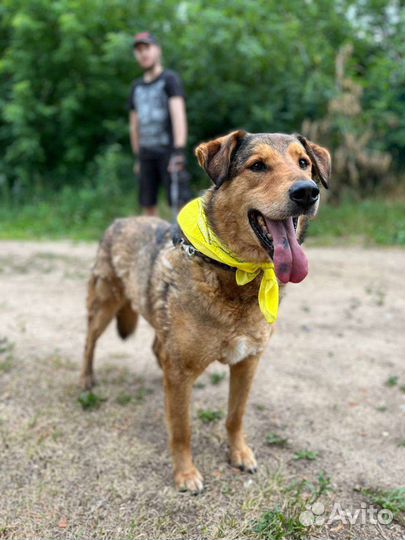 Пëсик Кит ищет семью