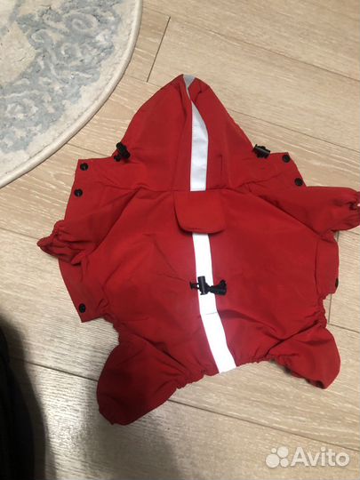 Одежда для собак мелких пород