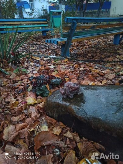 Садовые фигуры