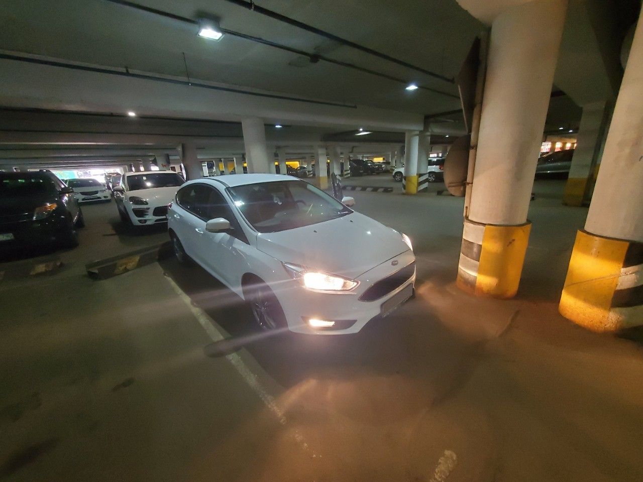 Ford Focus: фото владельца