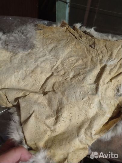 Шкурка зайца