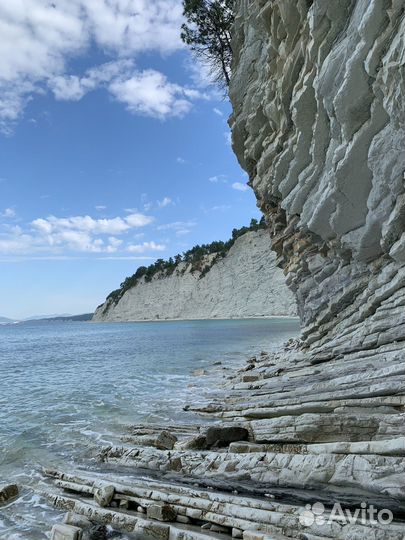 Ракушки с Голубой бездны