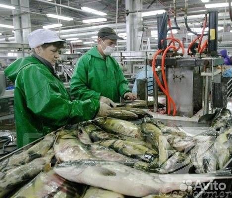 Обработчик рыбы и морепродуктов