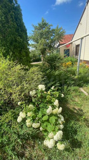 Дом 113,8 м² на участке 10 сот.