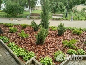 Мульча кора