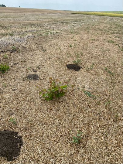 Участок 24,86 га (СНТ, ДНП)