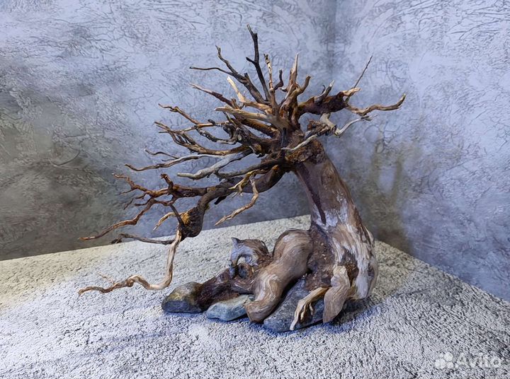 Коряги бонсай