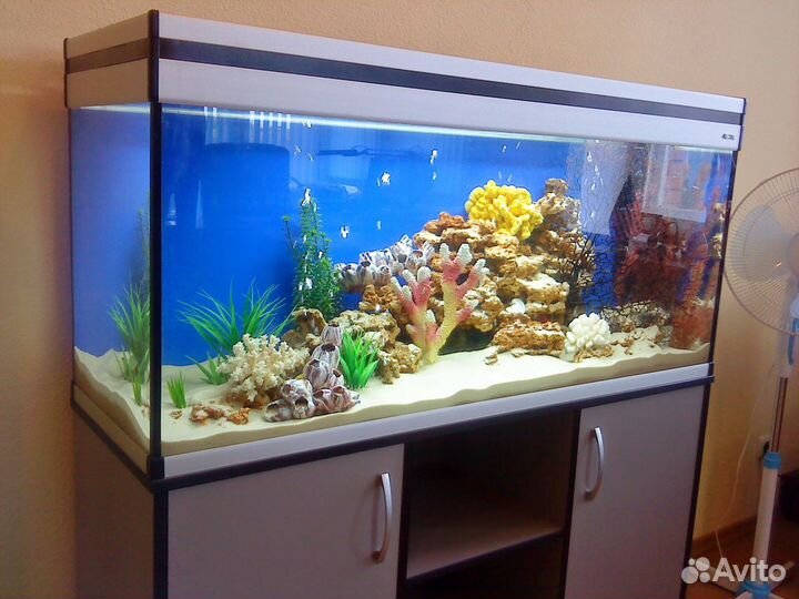 Аквариум