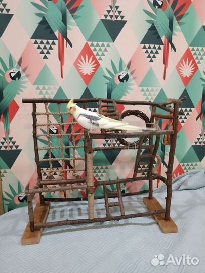 Стенд для попугая / игровая площадка