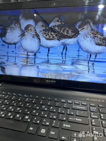 Ноутбук sony vaio
