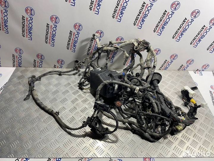 Проводка двс Kia Rio