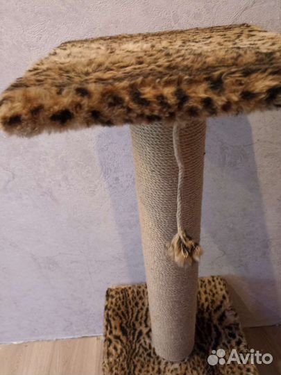 Когтеточка домик для кошки