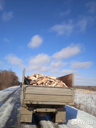Дрова березовые колотые-сухие