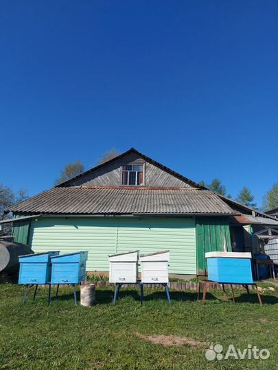 Домики для пчел