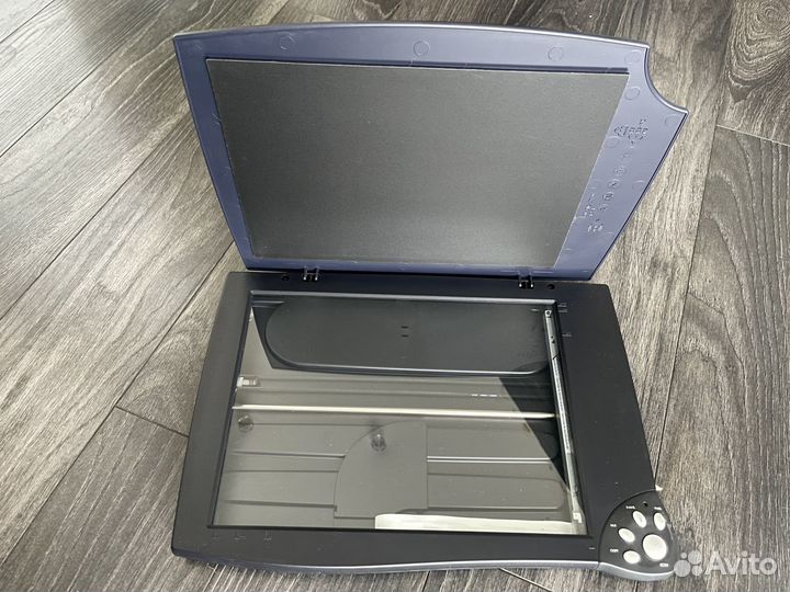 Монитор BenQ FP93G+Сканер Mustek BearPaw 2400CU+II