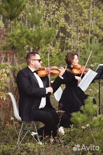 Живая музыка скрипка квартетмузыкальное оформление