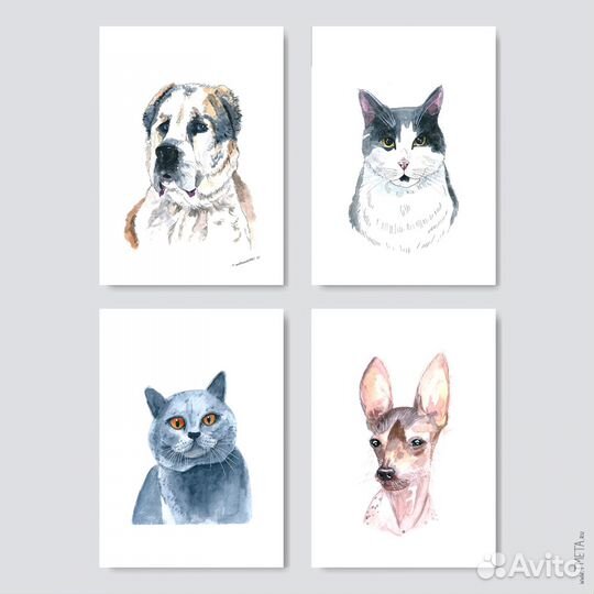 Подарок близким. Портрет кота, собаки на заказ
