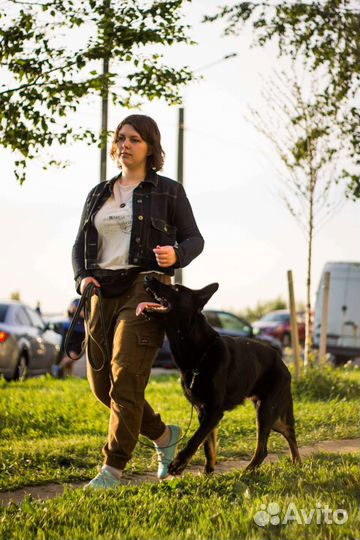 Кинолог - Дрессировщик - Зоопсихолог с выездом