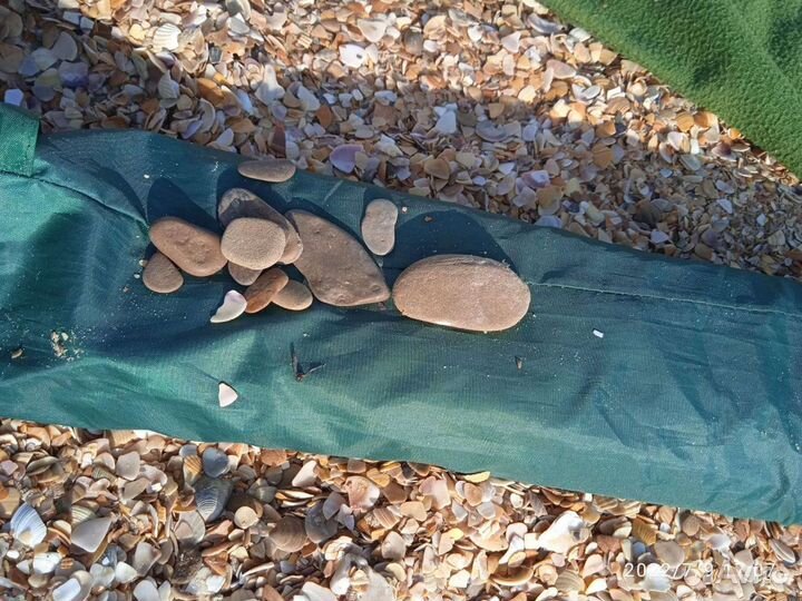 Ракушка и камни с Чёрного моря