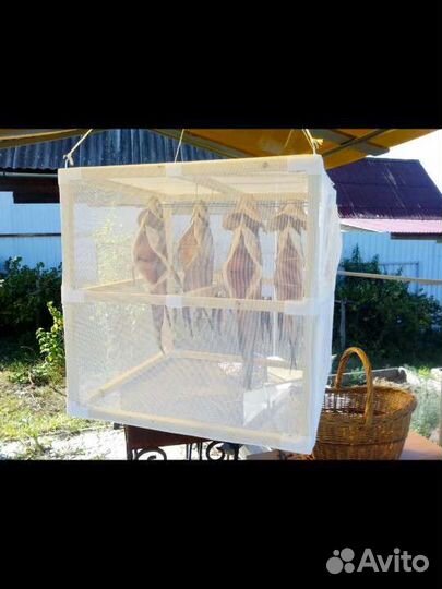 Стационарная сушилка для рыбы, мяса, кальмаров