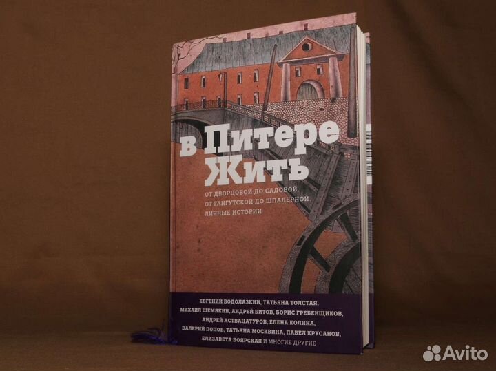 В Питере жить Книга