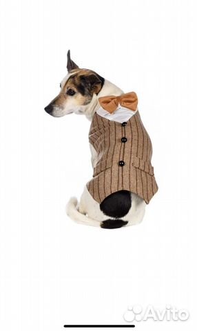 Фрак для собаки размер М новый
