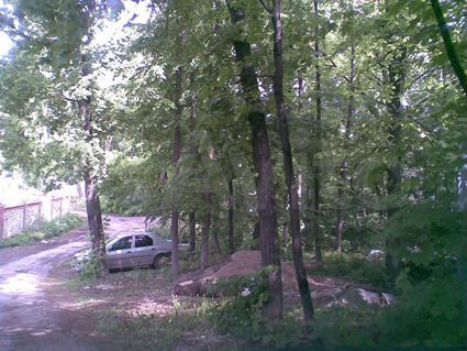 Участок 6 сот. (ИЖС)