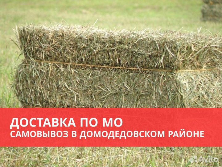 Сено, солома в тюках и мешках