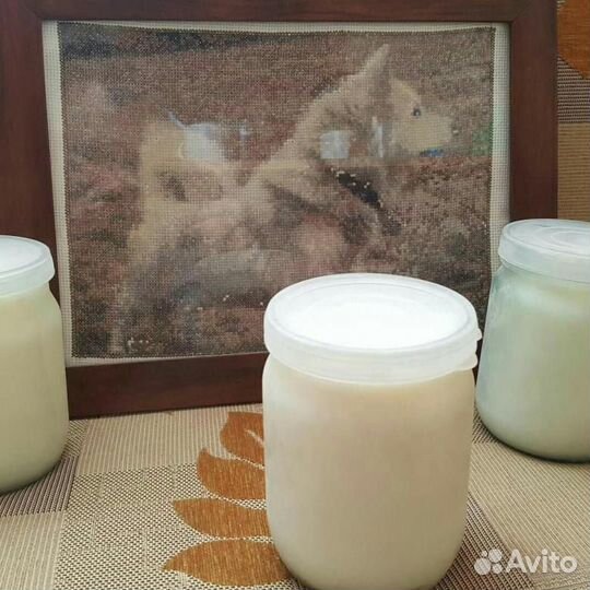 Жир барсучий