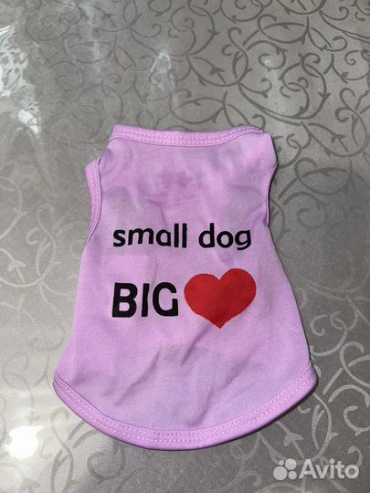 Одежда и обувь для собак