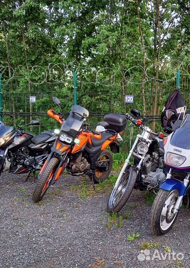 Shineray fireguard trail 250