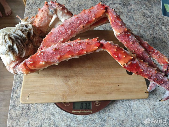 Камчатский краб вылов от 26 авг