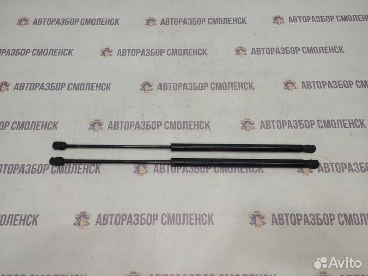 Амортизатор двери багажника Ford C-MAX I (2003—200