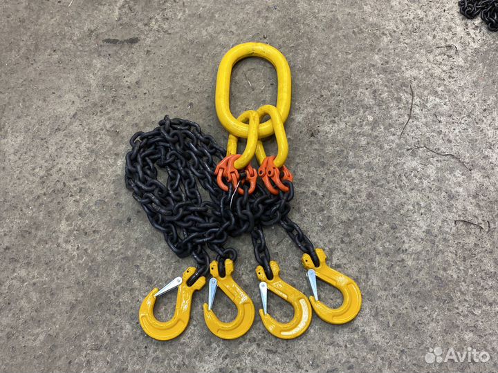 Цепные пауки чалки