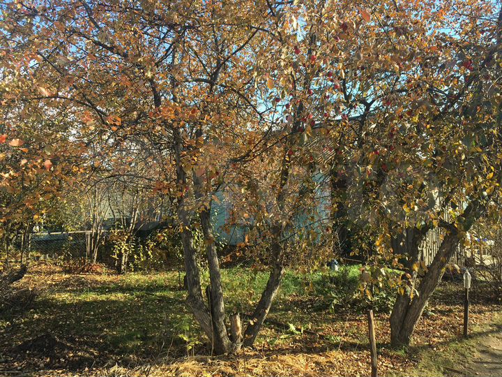 Дом 36 м² на участке 20 сот.